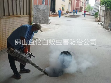 勒流街道消灭蚊虫工程